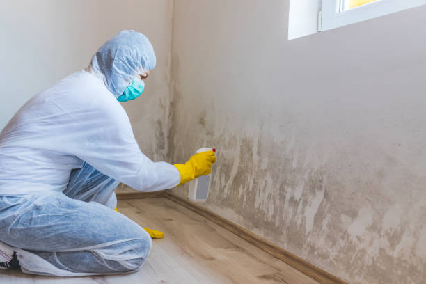 Licensed Mold Testing service in Laurel, VA - WQB Mold Removal