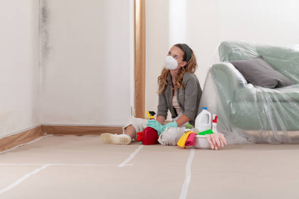 Reliable Mold Testing contractor in Laurel, VA by WQB Mold Removal